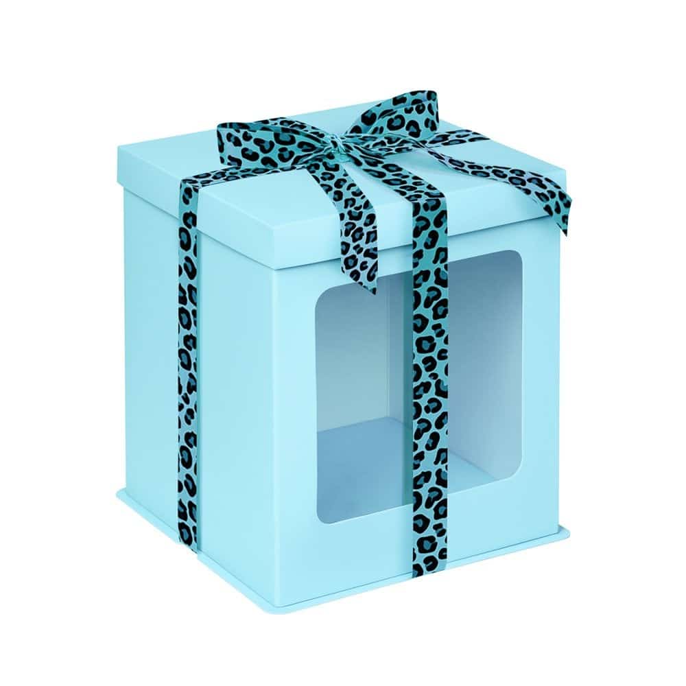 Baby Blue Tall Stylish Cake Box with Window