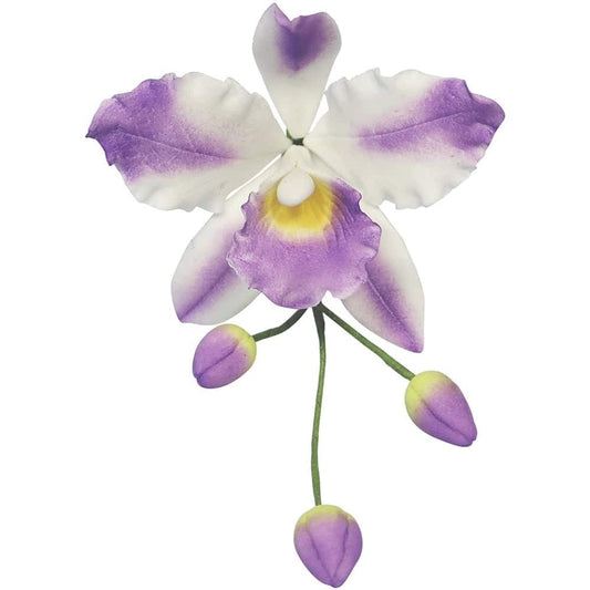 PME - Cattleya Orchid Flower Cutter Set Of 3