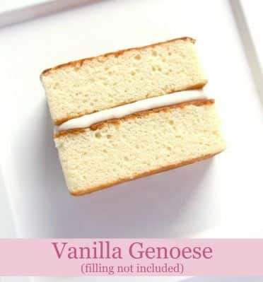 SWEET SUCCESS - Vanilla Genoese Sponge